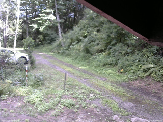 長野県菅平高原 ゆたか山荘 東側(坂下) 2025/08/14 14:30