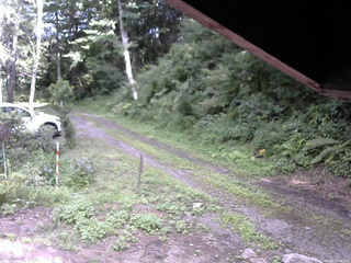 長野県菅平高原 ゆたか山荘 東側(坂下) 2025/08/14 14:45