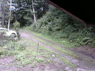 長野県菅平高原 ゆたか山荘 東側(坂下) 2025/08/14 15:00