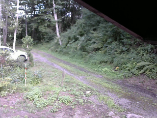 長野県菅平高原 ゆたか山荘 東側(坂下) 2025/08/14 15:15