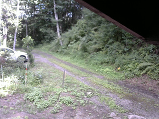 長野県菅平高原 ゆたか山荘 東側(坂下) 2025/08/14 15:45