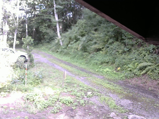 長野県菅平高原 ゆたか山荘 東側(坂下) 2025/08/14 16:00