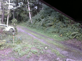 長野県菅平高原 ゆたか山荘 東側(坂下) 2025/08/14 16:15