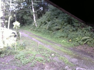 長野県菅平高原 ゆたか山荘 東側(坂下) 2025/08/14 16:45
