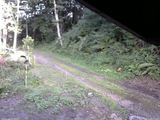 長野県菅平高原 ゆたか山荘 東側(坂下) 2025/08/14 17:00