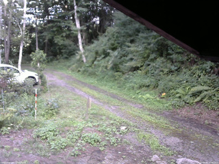 長野県菅平高原 ゆたか山荘 東側(坂下) 2025/08/14 17:30
