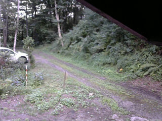 長野県菅平高原 ゆたか山荘 東側(坂下) 2025/08/14 17:45