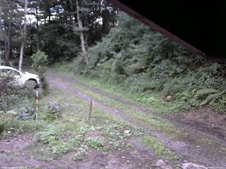 長野県菅平高原 ゆたか山荘 東側(坂下) 2025/08/14 18:15