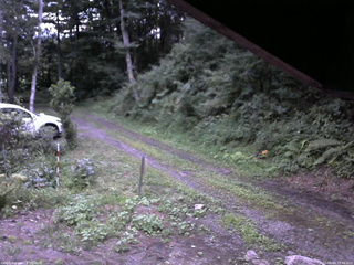 長野県菅平高原 ゆたか山荘 東側(坂下) 2025/08/14 18:30