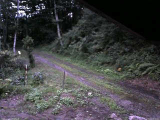 長野県菅平高原 ゆたか山荘 東側(坂下) 2025/08/14 18:45