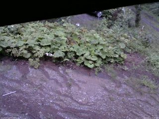 長野県菅平高原 ゆたか山荘 駐車場 2025/08/14 05:00