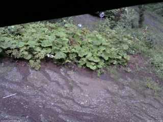 長野県菅平高原 ゆたか山荘 駐車場 2025/08/14 05:15