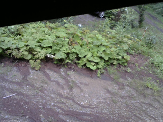 長野県菅平高原 ゆたか山荘 駐車場 2025/08/14 05:30