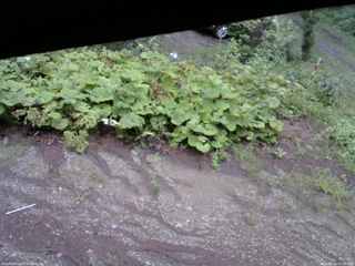 長野県菅平高原 ゆたか山荘 駐車場 2025/08/14 05:45