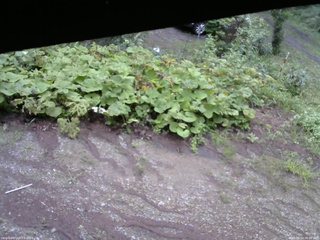 長野県菅平高原 ゆたか山荘 駐車場 2025/08/14 06:00