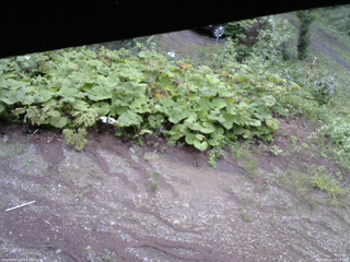 長野県菅平高原 ゆたか山荘 駐車場 2025/08/14 06:15