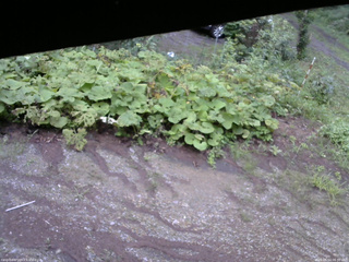 長野県菅平高原 ゆたか山荘 駐車場 2025/08/14 06:30