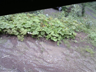 長野県菅平高原 ゆたか山荘 駐車場 2025/08/14 06:45