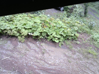長野県菅平高原 ゆたか山荘 駐車場 2025/08/14 07:00