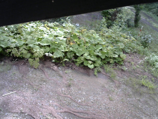 長野県菅平高原 ゆたか山荘 駐車場 2025/08/14 07:45