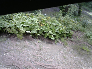 長野県菅平高原 ゆたか山荘 駐車場 2025/08/14 08:15