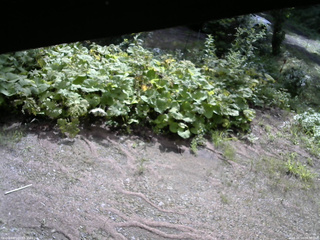 長野県菅平高原 ゆたか山荘 駐車場 2025/08/14 08:30