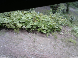 長野県菅平高原 ゆたか山荘 駐車場 2025/08/14 08:45