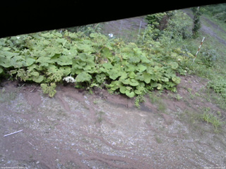 長野県菅平高原 ゆたか山荘 駐車場 2025/08/14 09:00