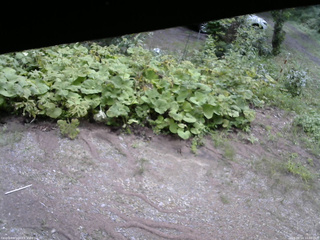 長野県菅平高原 ゆたか山荘 駐車場 2025/08/14 10:00