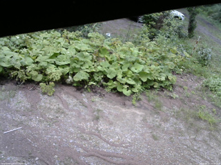 長野県菅平高原 ゆたか山荘 駐車場 2025/08/14 10:30