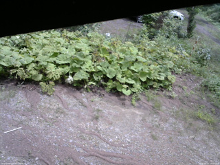 長野県菅平高原 ゆたか山荘 駐車場 2025/08/14 10:45