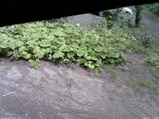 長野県菅平高原 ゆたか山荘 駐車場 2025/08/14 12:00