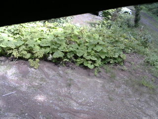 長野県菅平高原 ゆたか山荘 駐車場 2025/08/14 12:30
