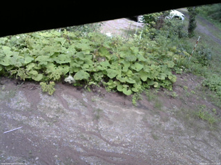 長野県菅平高原 ゆたか山荘 駐車場 2025/08/14 13:15