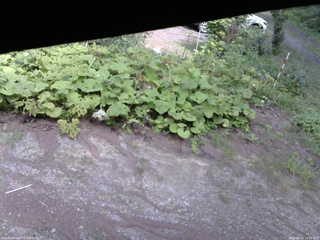 長野県菅平高原 ゆたか山荘 駐車場 2025/08/14 13:30