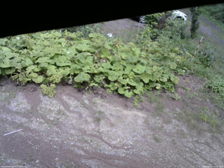 長野県菅平高原 ゆたか山荘 駐車場 2025/08/14 15:00