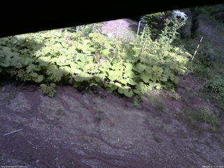 長野県菅平高原 ゆたか山荘 駐車場 2025/08/14 15:45