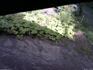 長野県菅平高原 ゆたか山荘 駐車場 2025/08/14 16:00