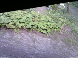 長野県菅平高原 ゆたか山荘 駐車場 2025/08/14 16:15