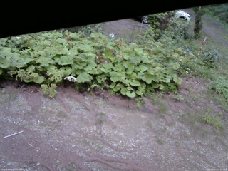 長野県菅平高原 ゆたか山荘 駐車場 2025/08/14 18:15