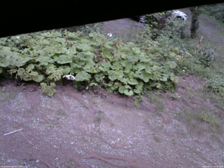 長野県菅平高原 ゆたか山荘 駐車場 2025/08/14 18:30
