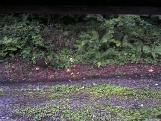 長野県菅平高原 ゆたか山荘 南側 2025/08/15 05:00