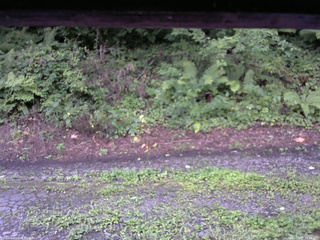 長野県菅平高原 ゆたか山荘 南側 2025/08/15 05:15