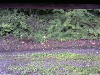 長野県菅平高原 ゆたか山荘 南側 2025/08/15 05:30