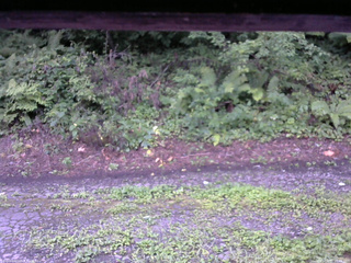 長野県菅平高原 ゆたか山荘 南側 2025/08/15 05:45