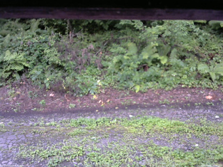 長野県菅平高原 ゆたか山荘 南側 2025/08/15 06:00