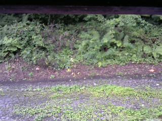 長野県菅平高原 ゆたか山荘 南側 2025/08/15 06:15