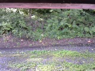 長野県菅平高原 ゆたか山荘 南側 2025/08/15 07:00