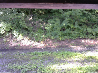 長野県菅平高原 ゆたか山荘 南側 2025/08/15 07:15