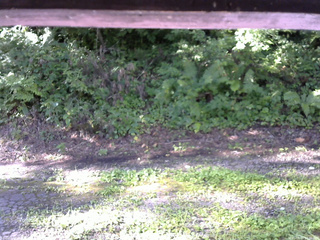 長野県菅平高原 ゆたか山荘 南側 2025/08/15 07:30